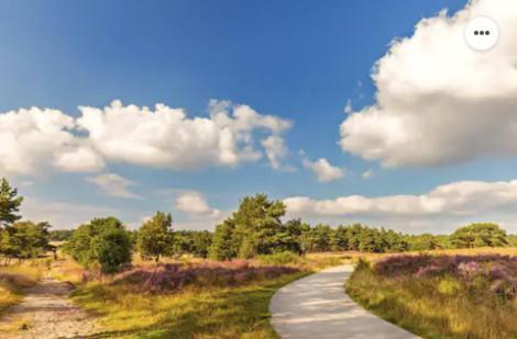 הוילה פוטן Park Konijnenburg מראה חיצוני תמונה